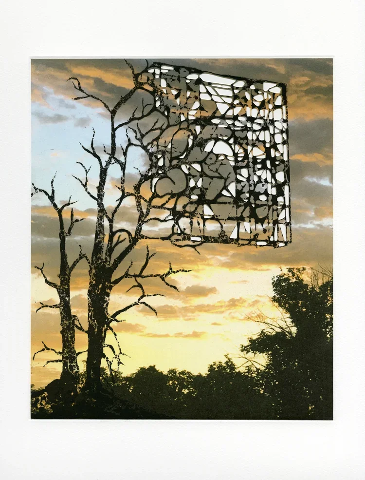 nlopez-blueskiesandsunsets-04-web.png.webp