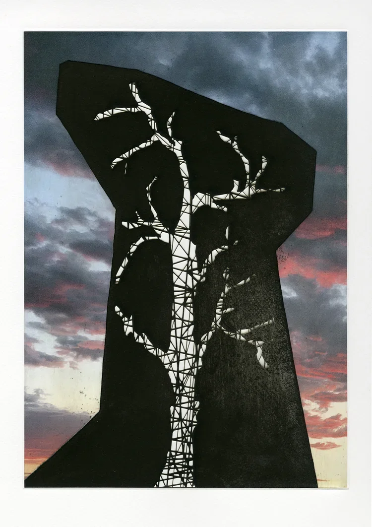 nlopez-blueskiesandsunsets-05-web.png.webp