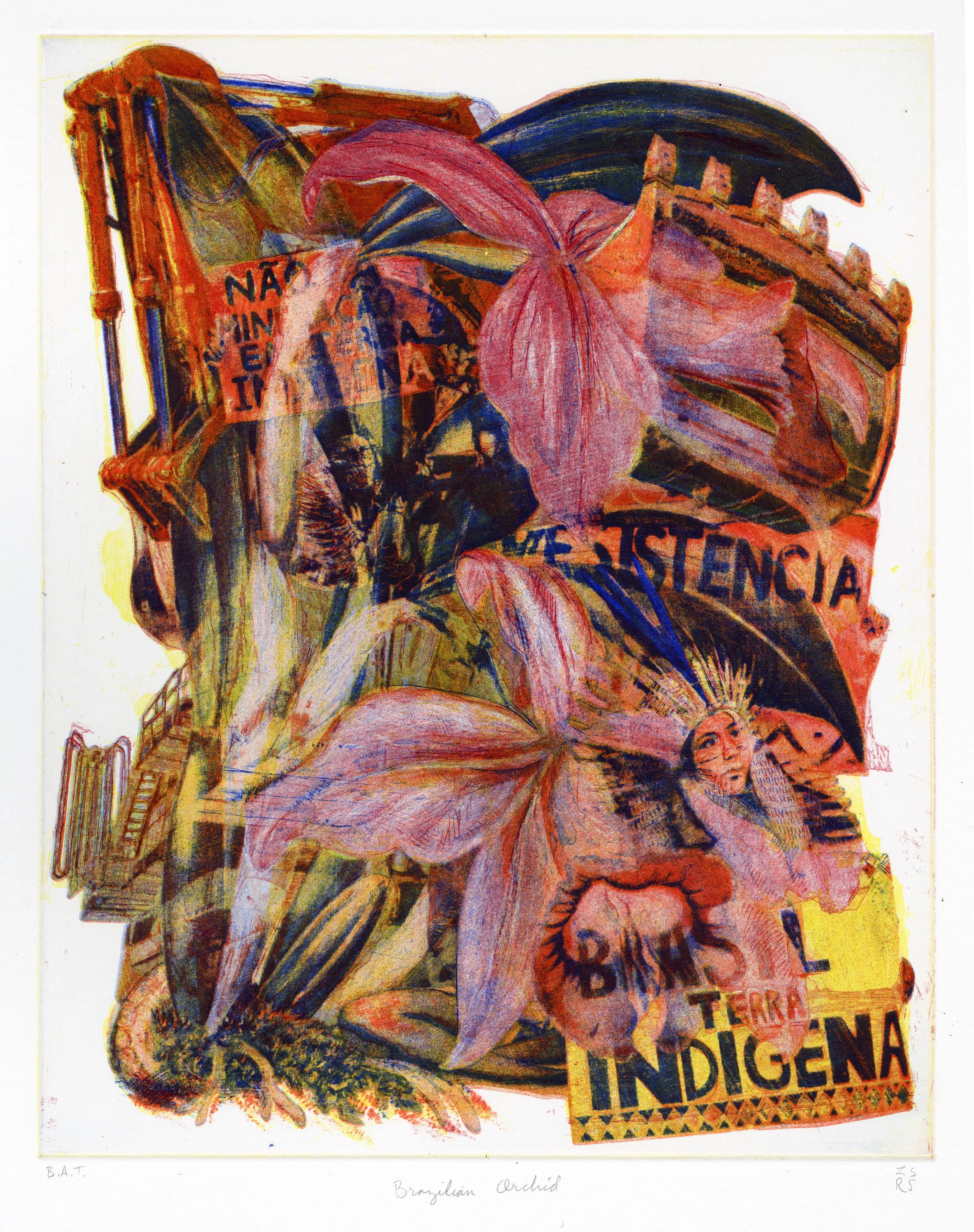 Brazilian Orchid.jpg