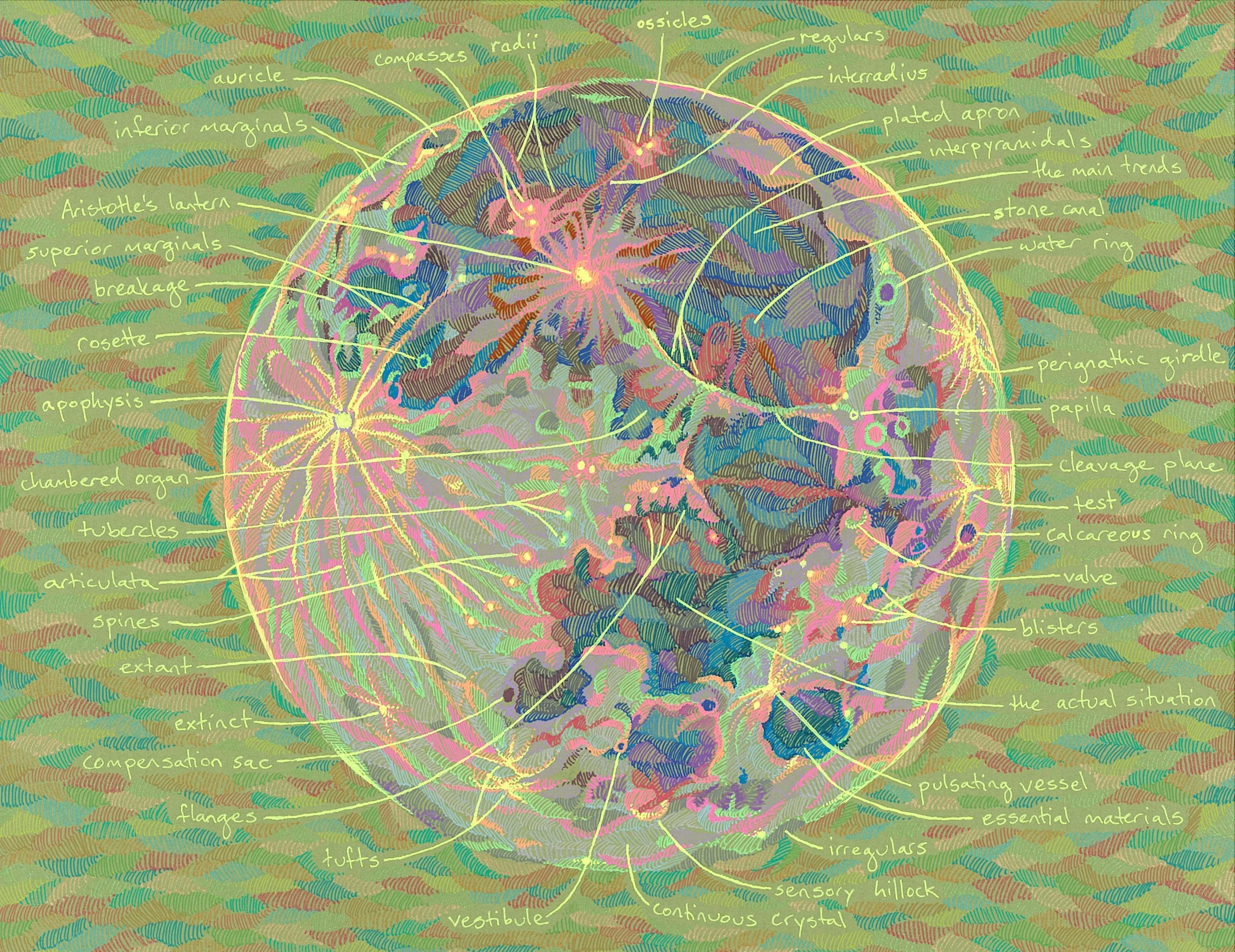 GreenMoon.jpg