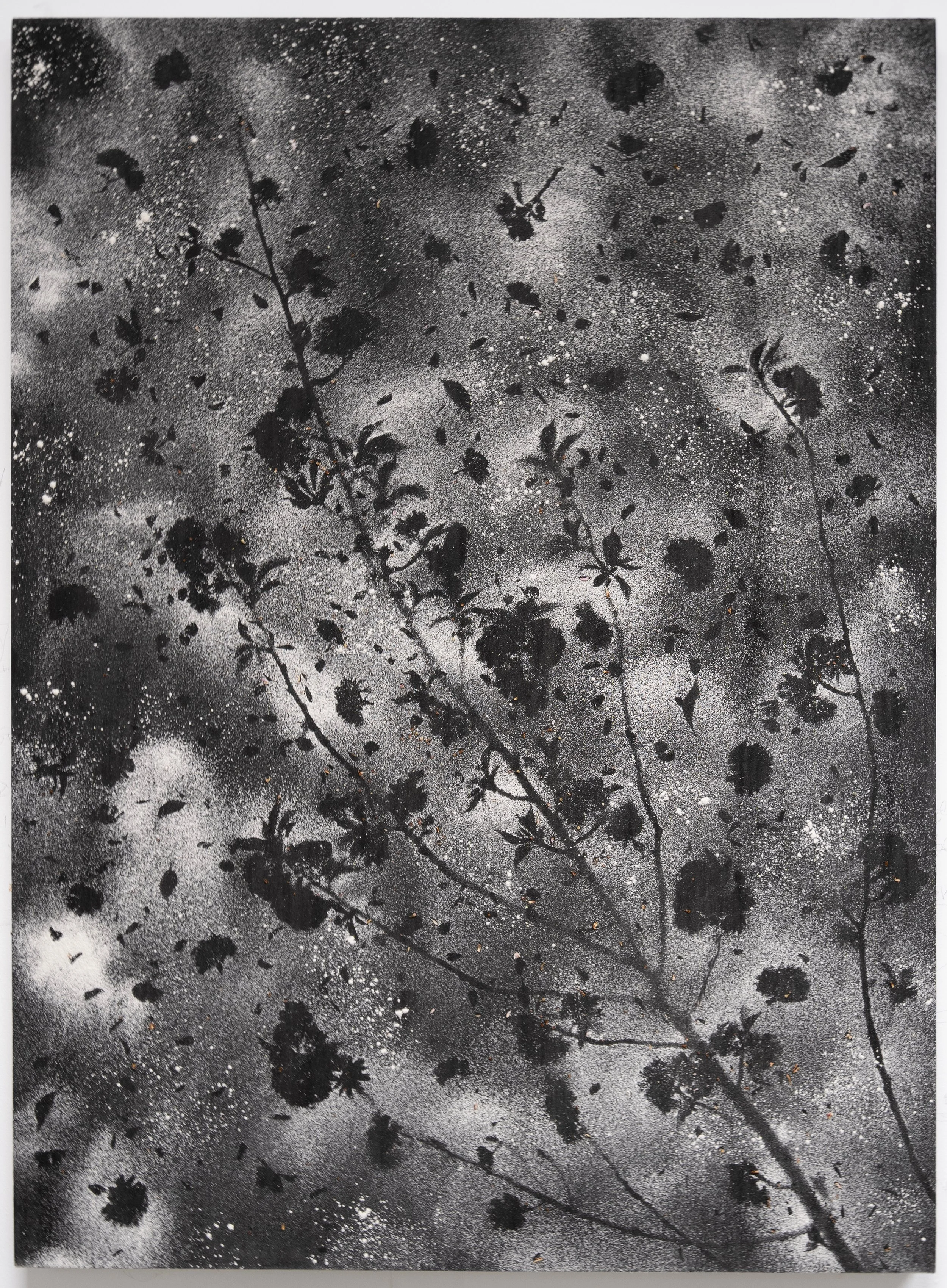 Untitled 2.jpg