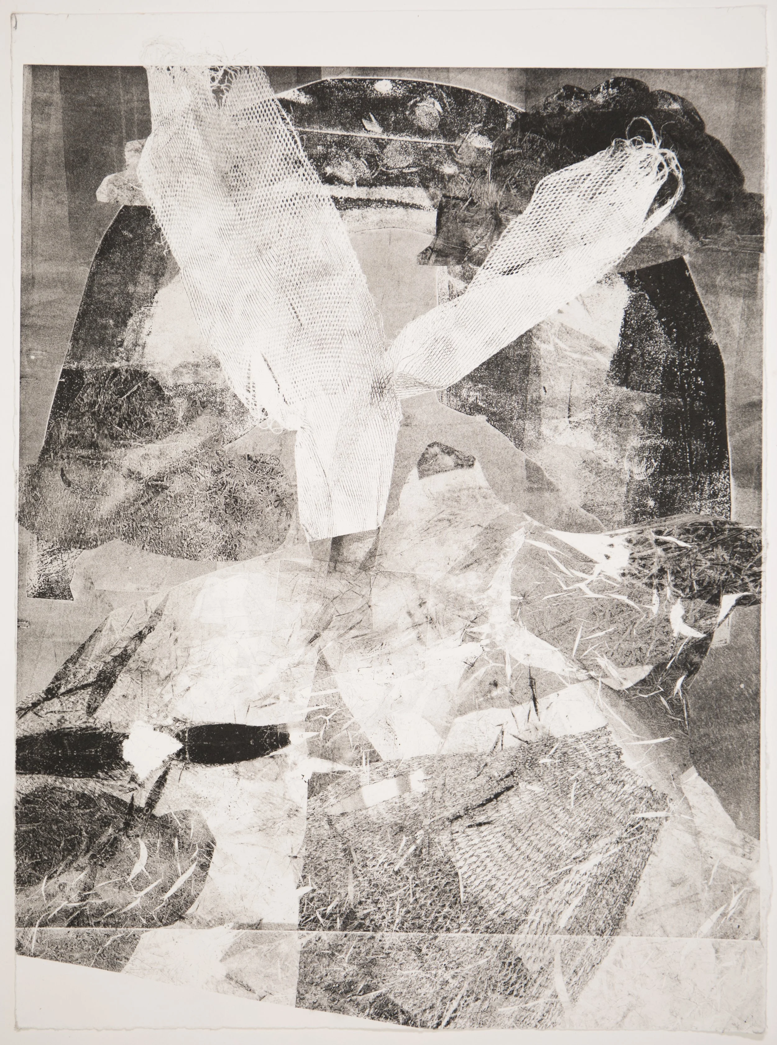 Untitled 8.jpg