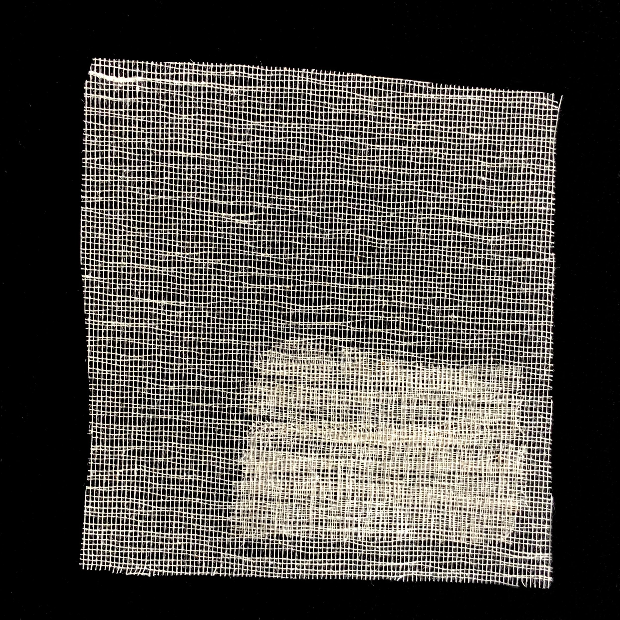 Herrera-3.jpg