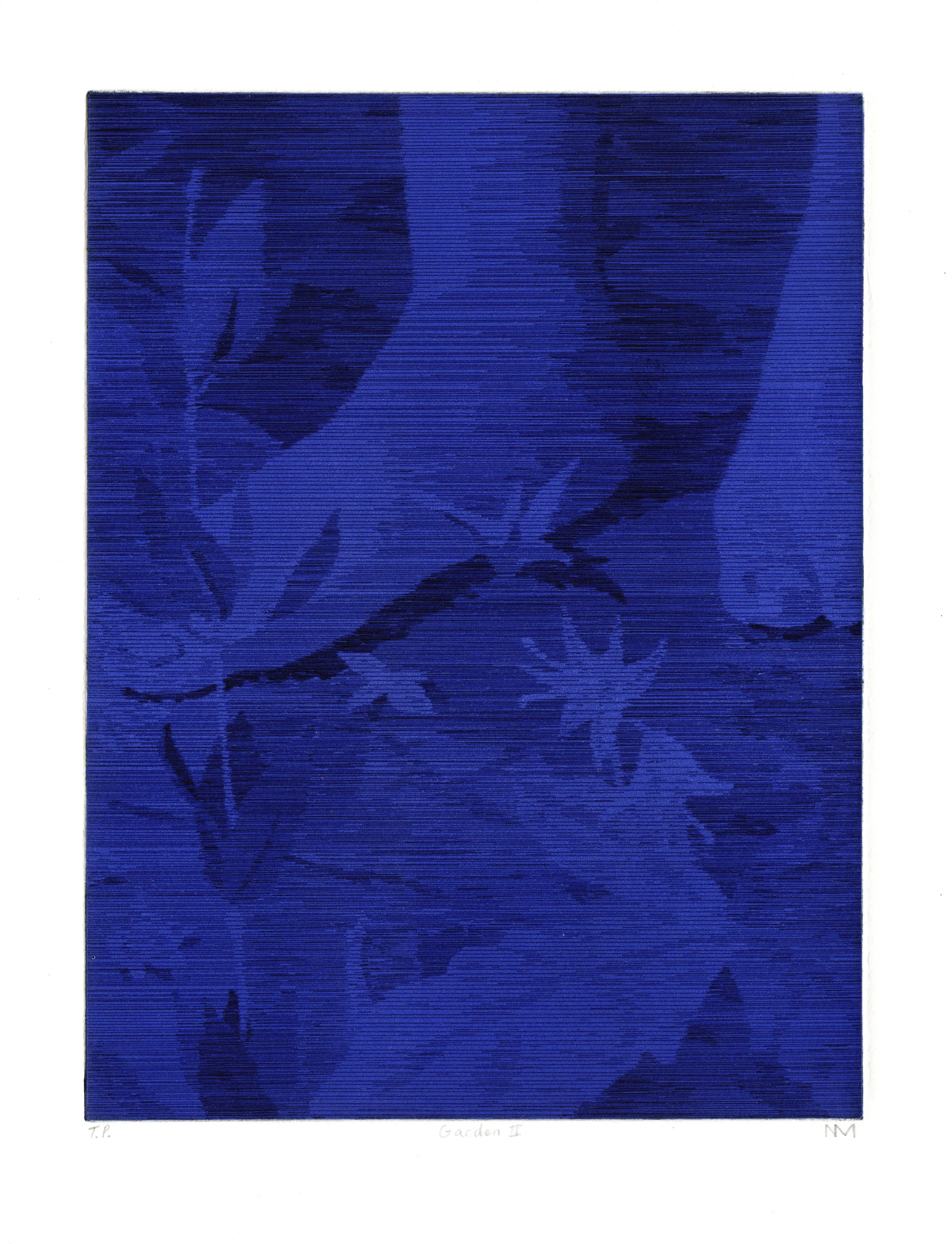 Mancini_Nicholas_GardenII_hardgroundetchingwithsurfaceroll_2022,12_x9_.jpg