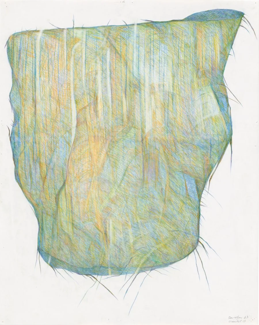 Deborah Davidson