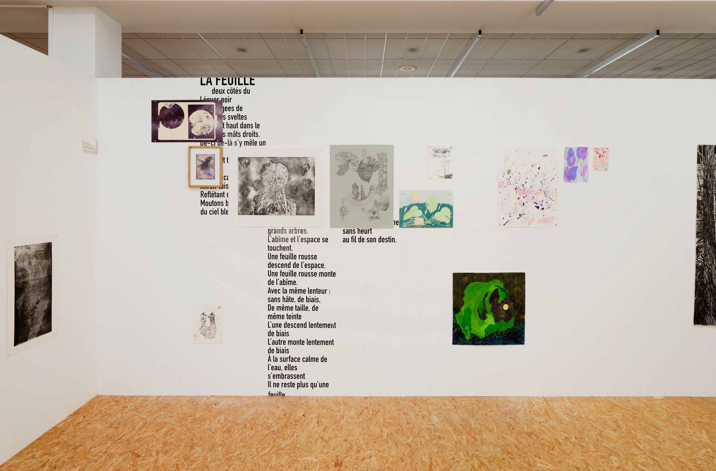 Untitled 13.jpg