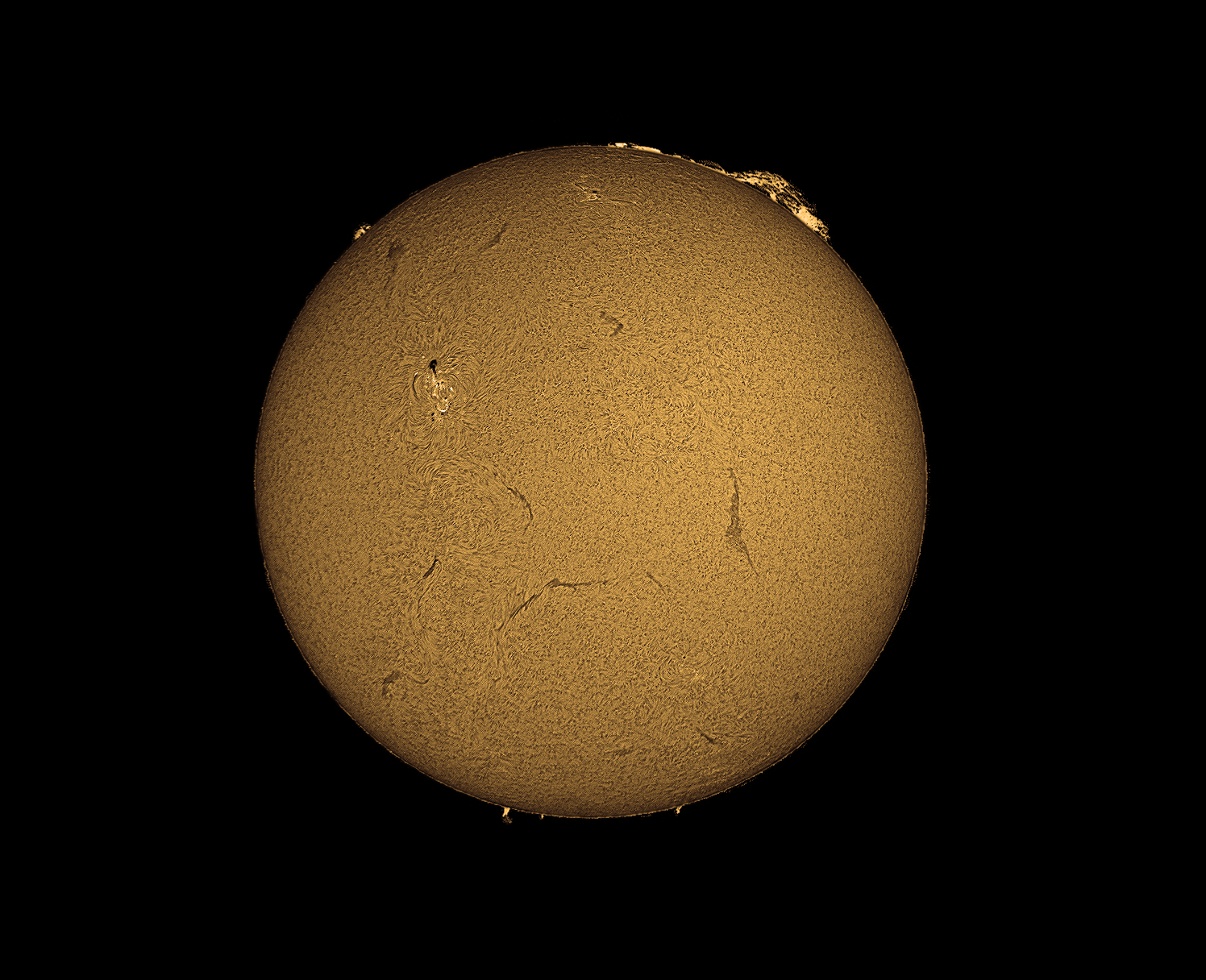 Sun - Our nearest star imaged with a 60mm Coronado Solarmax telescope and a Celestron Skyris 274mono camera.