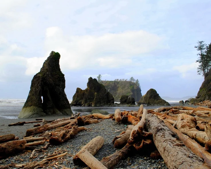 washingtoncoast.jpg