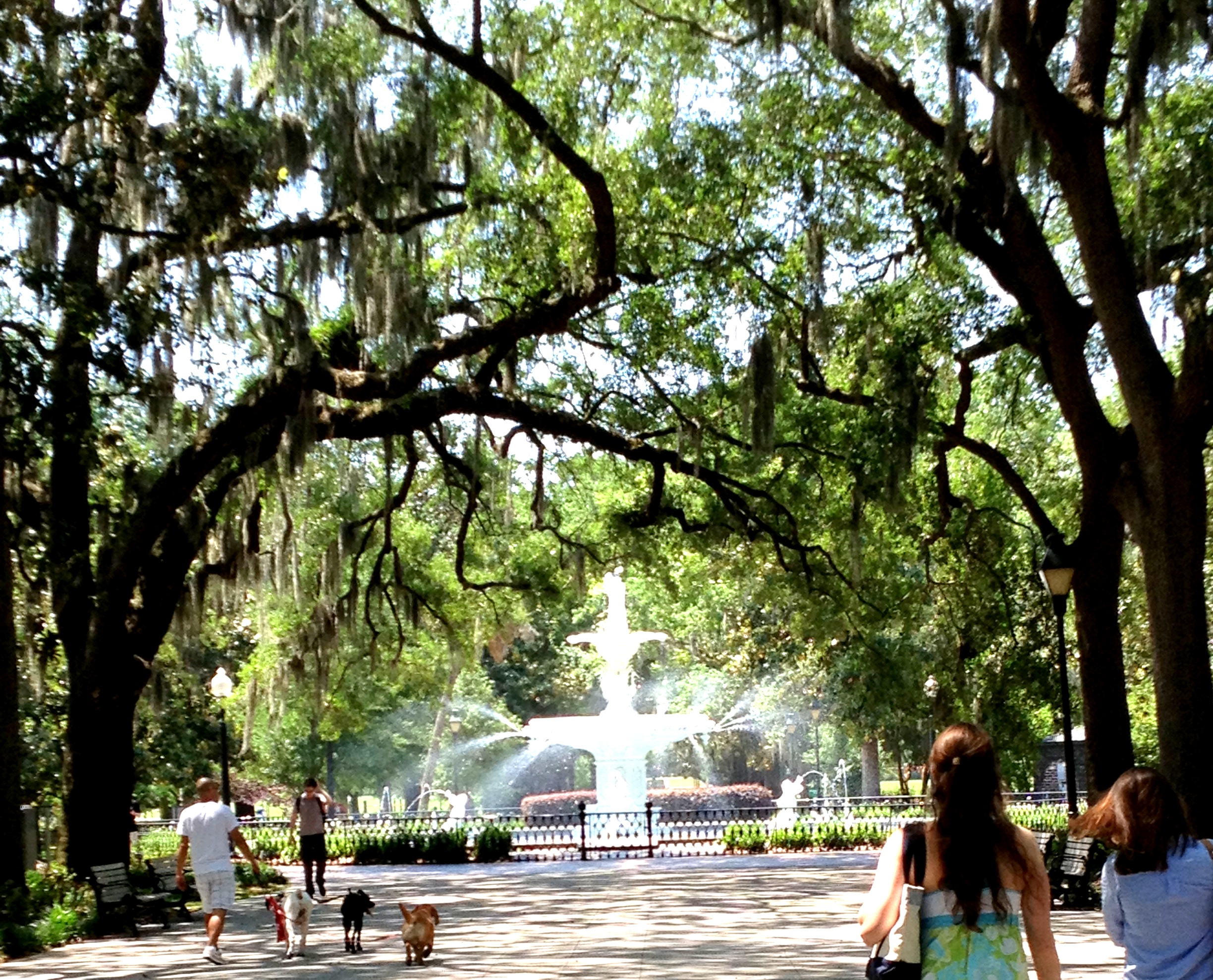 fountain park.jpg