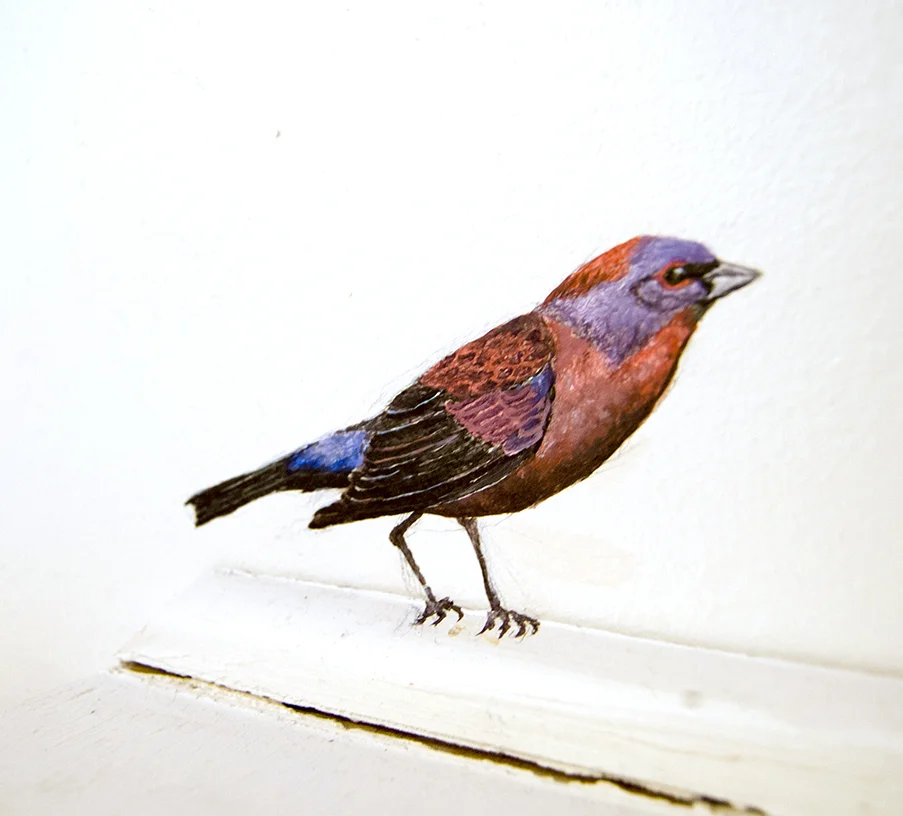 DSCF4561.jpg