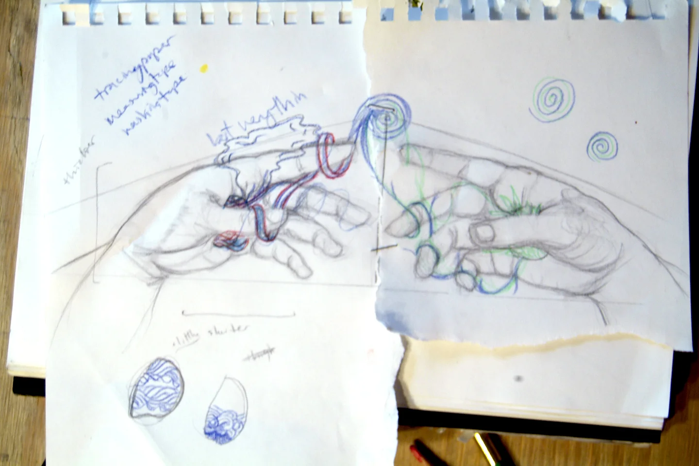sketch plan #2 - EL GANADOR