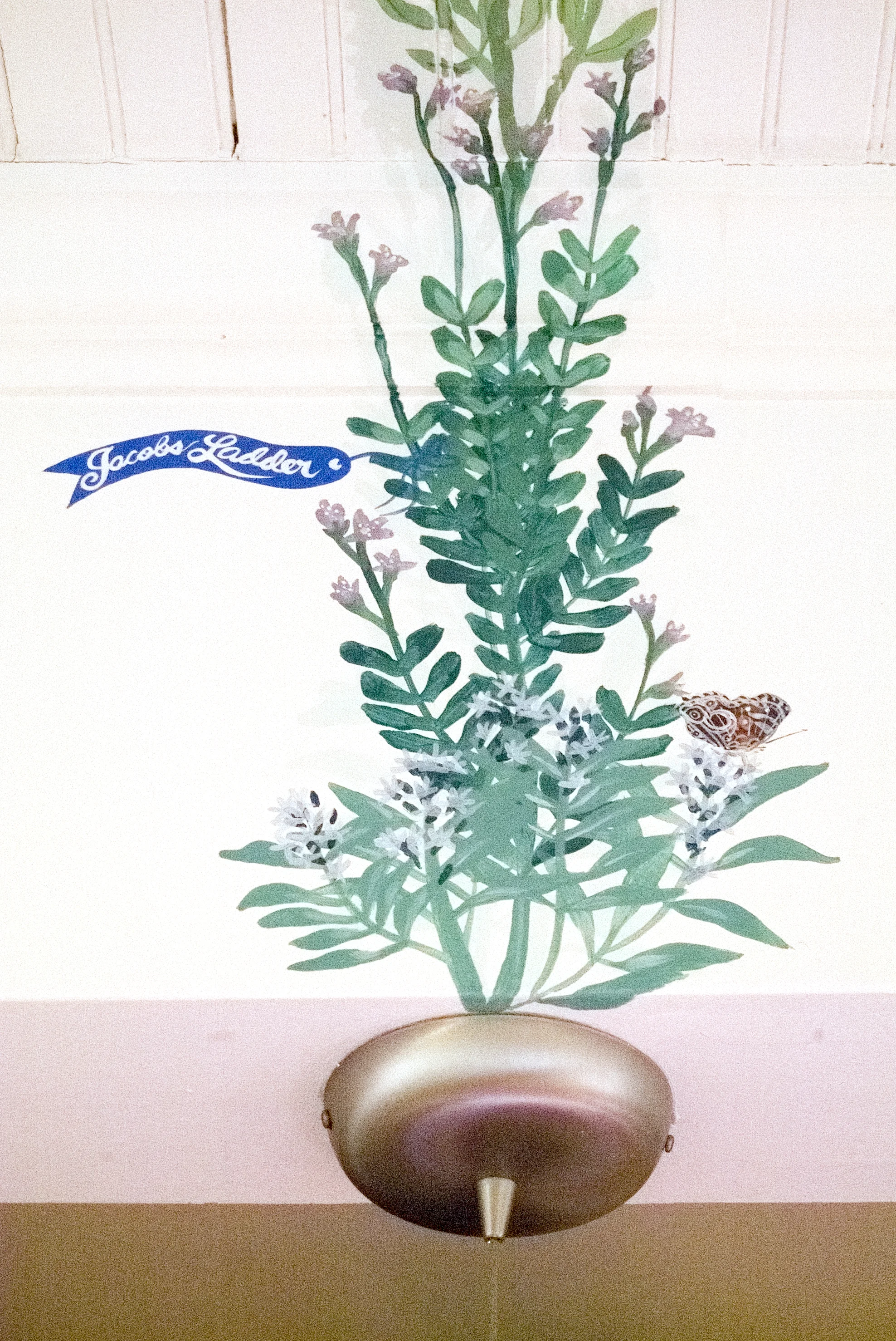 DSCF6236.jpg