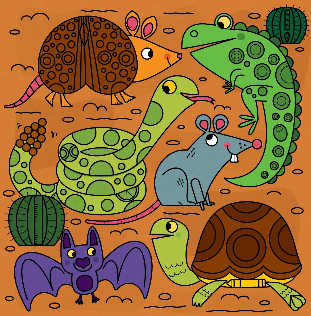 Seeing-Double-Winter-Sports-Desert-Animals-Steve-Mack-COLOR-V22.jpg