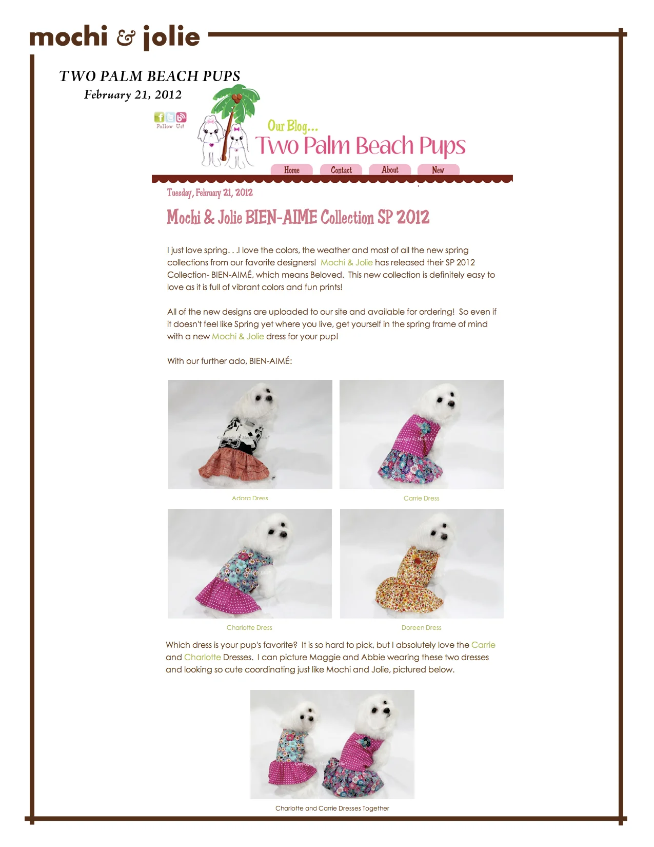 Two Palm Beach Pups (February 21, 2012)