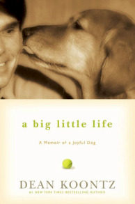 big-little-life_SIDEBAR.jpg
