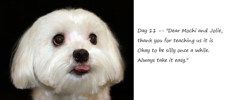 Day11_blog.jpg