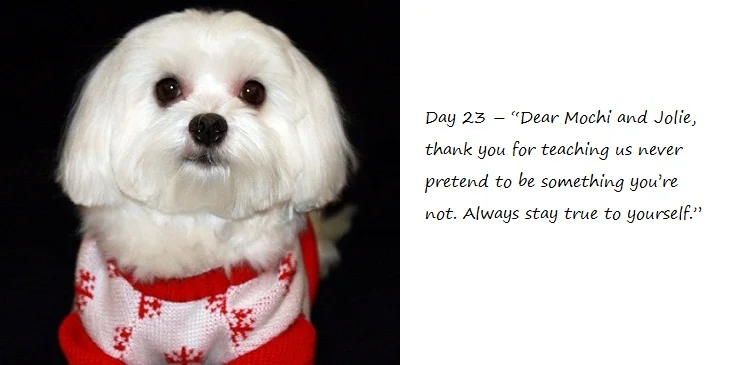 Day23_blog.jpg