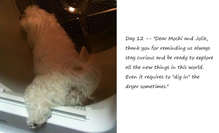 Day12_blog.jpg
