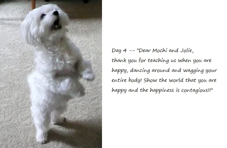 Day4_blog.jpg