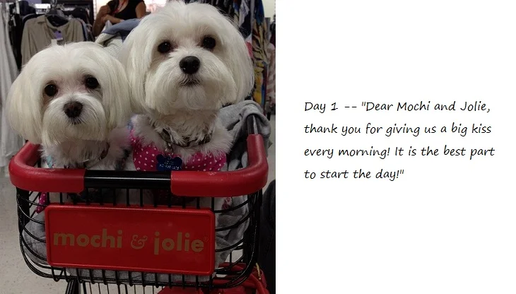 Day1_blog.jpg