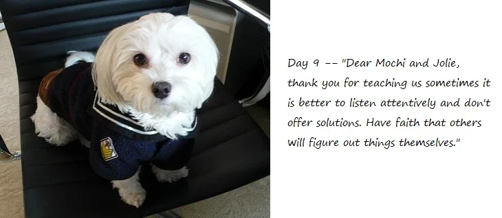 Day9_blog.jpg
