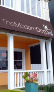 TheModernDog6.jpg