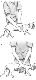 vec757-fig-0005-t.gif