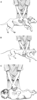 vec757-fig-0004-t.gif