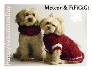 Meteor and FiFiGiGi.jpg