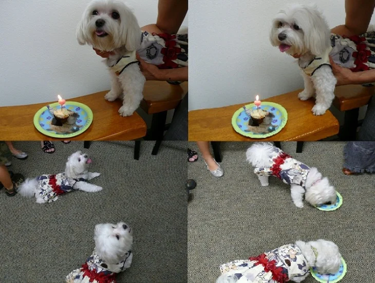 party3.jpg