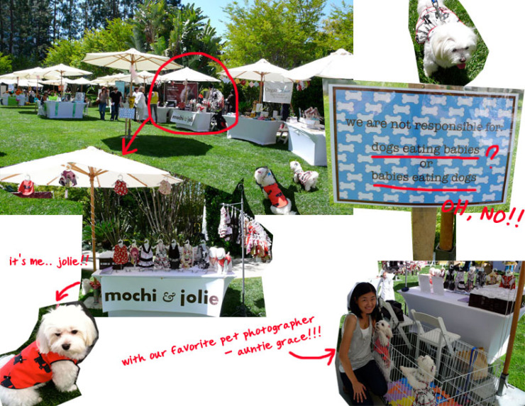 DogEvent_Collage1.jpg