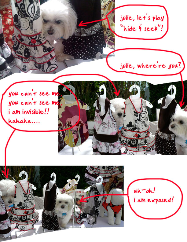 DogEvent_Collage2.jpg