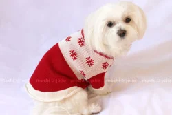 SnowFlake1_watermark.jpg