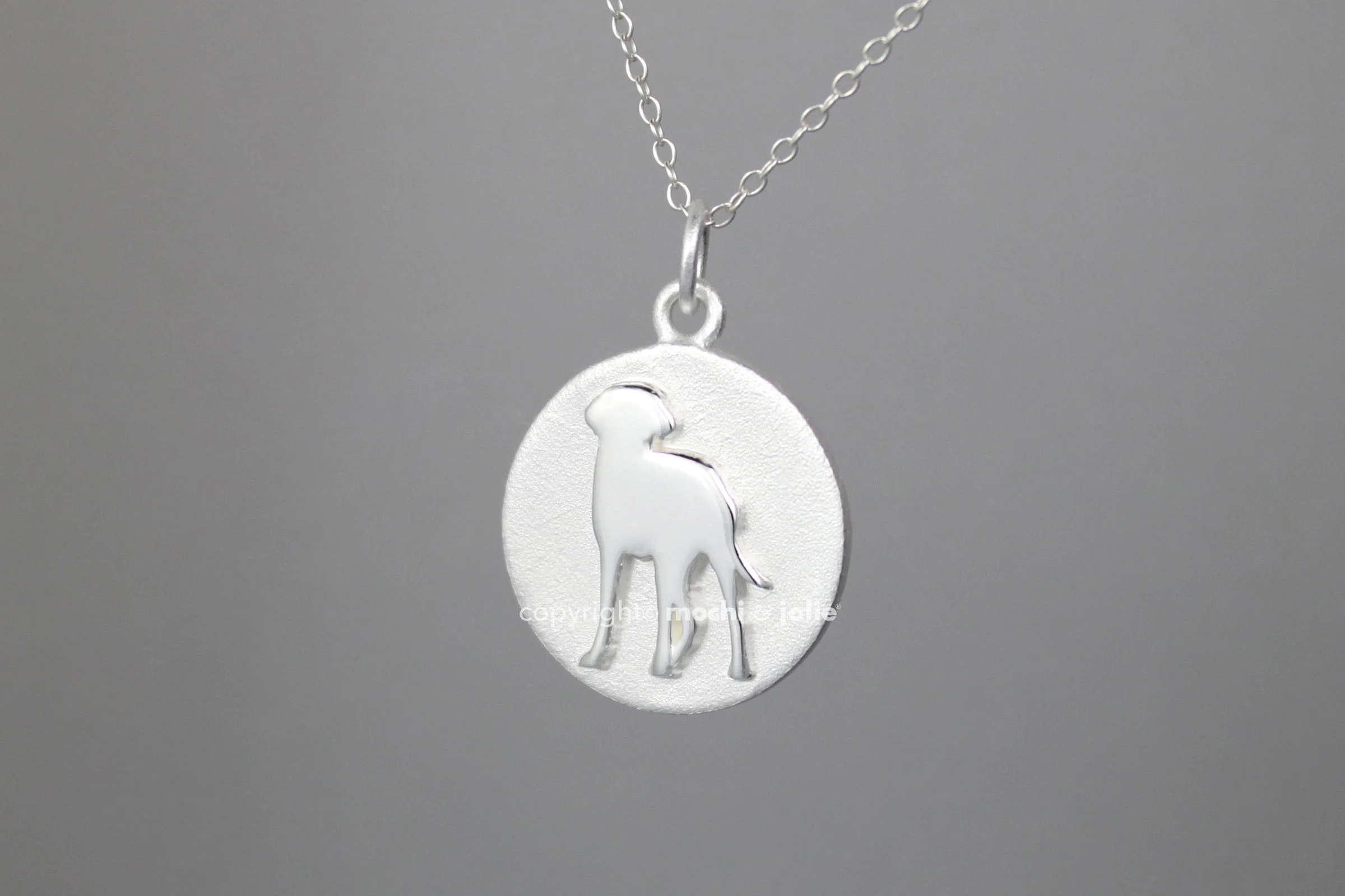 Labrador_Silver1.jpg