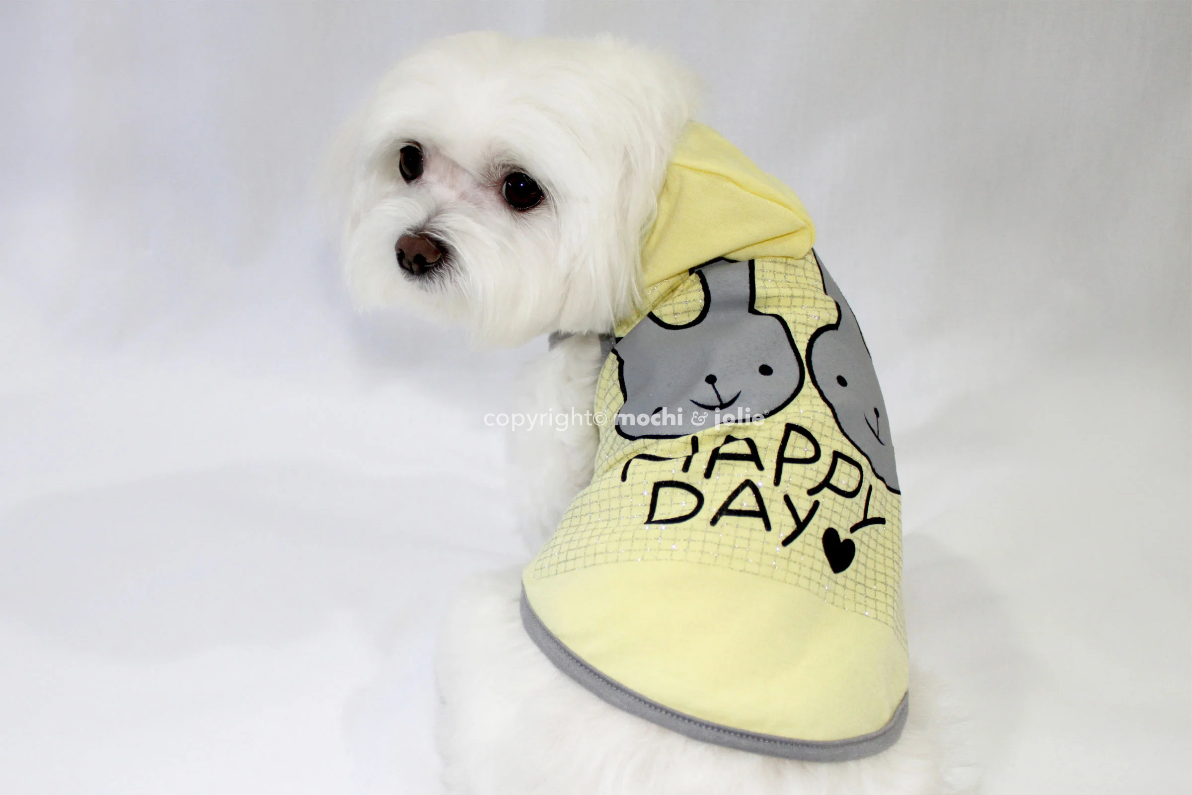 HappyDayYellow2.jpg