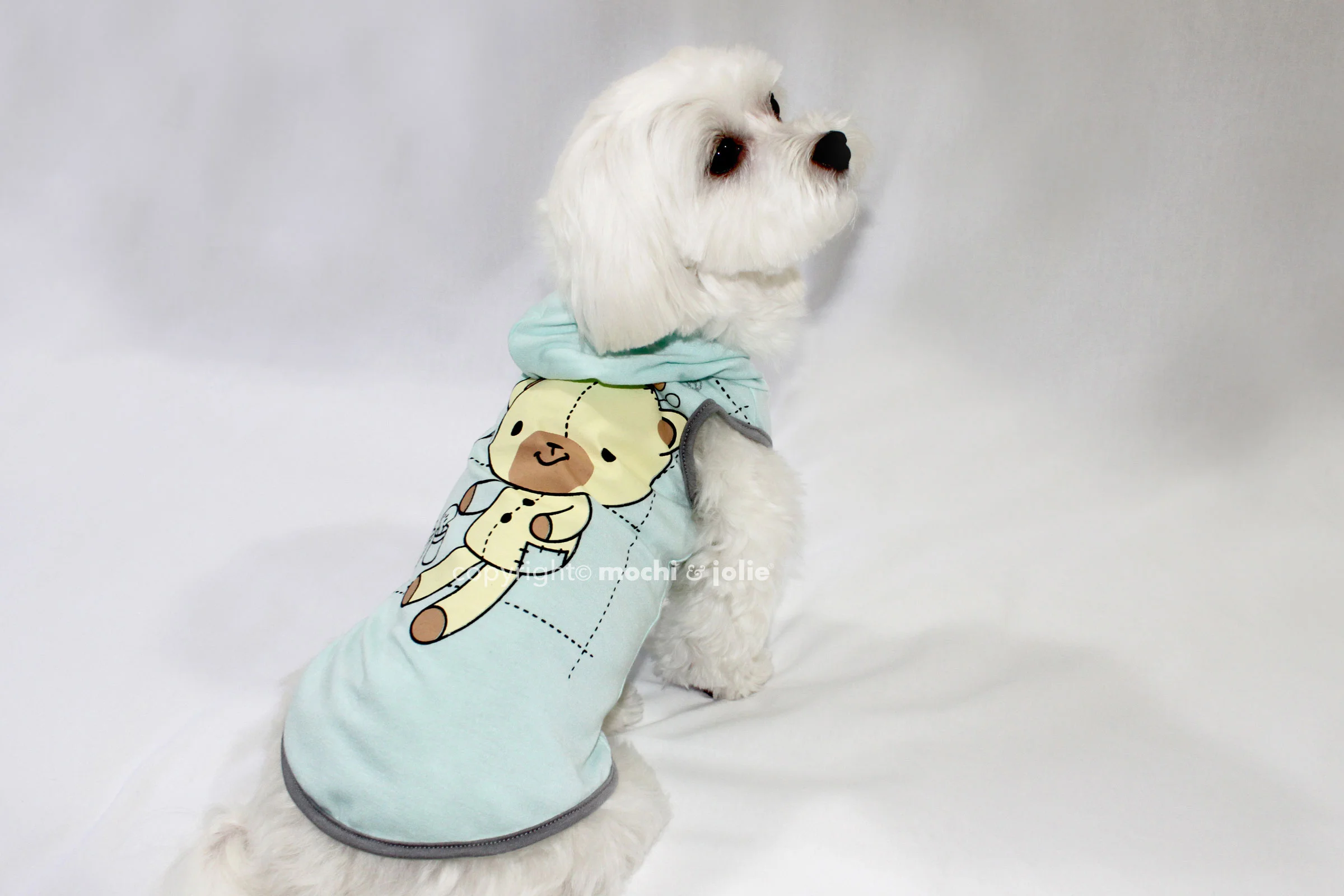 SweetTeddyBlue2.jpg