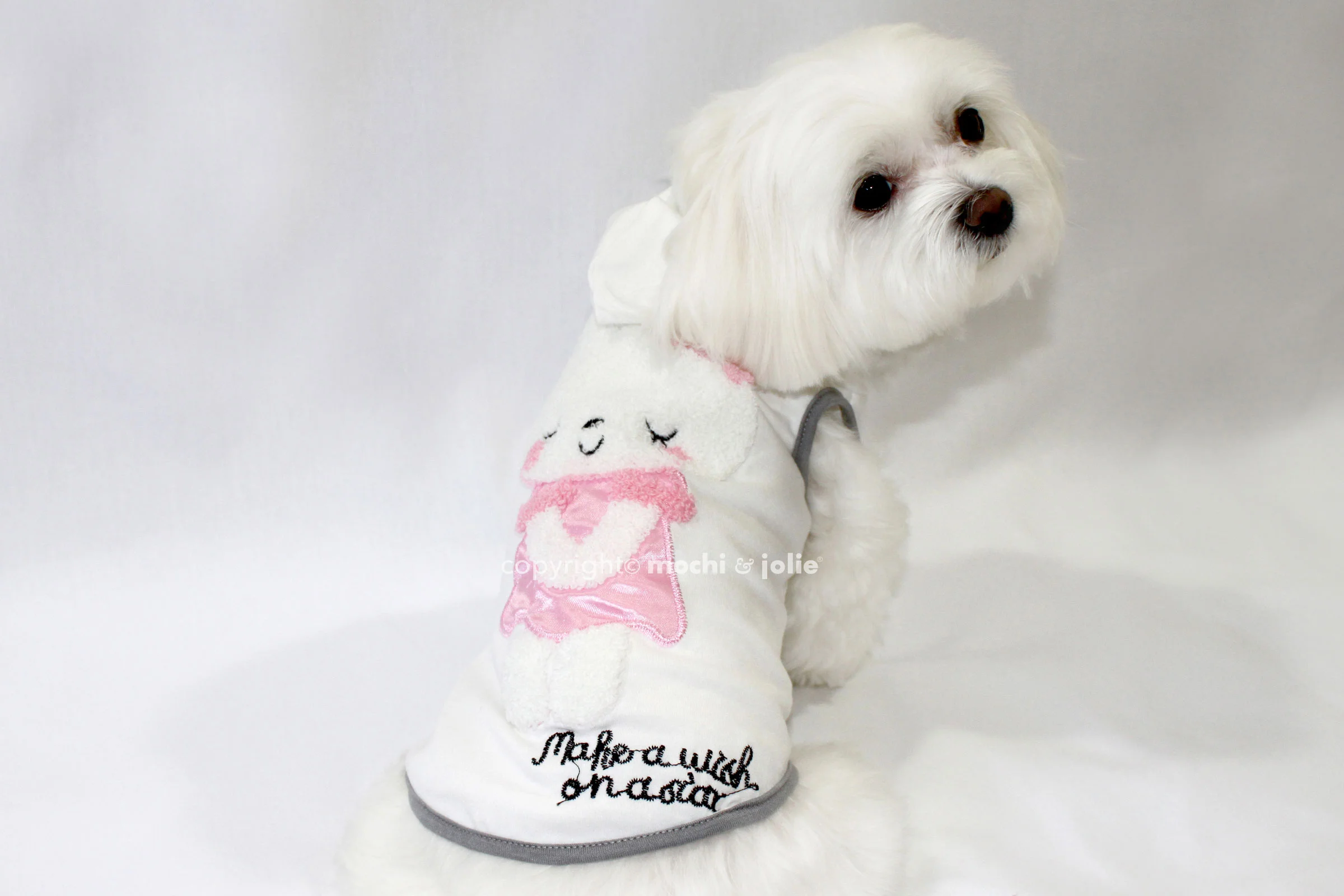 WishingBunny2.jpg