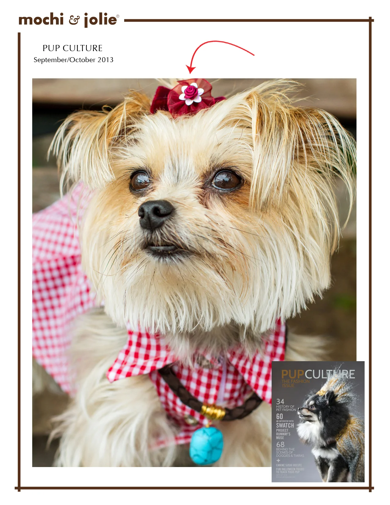 Pup Culture (September/October 2013)