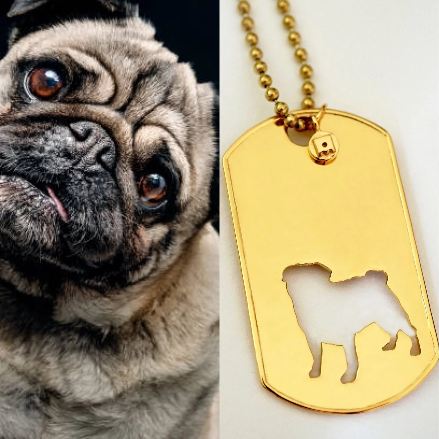 It&rsquo;s all about Pug today 🥰