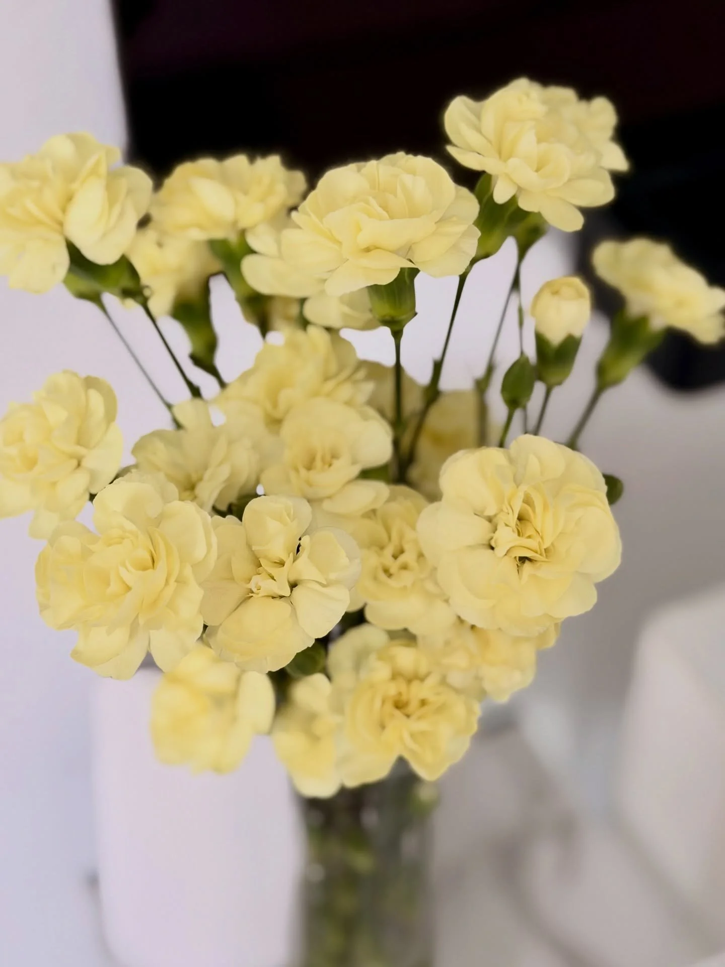May your weekend to be calm and pleasant 🌼🥰