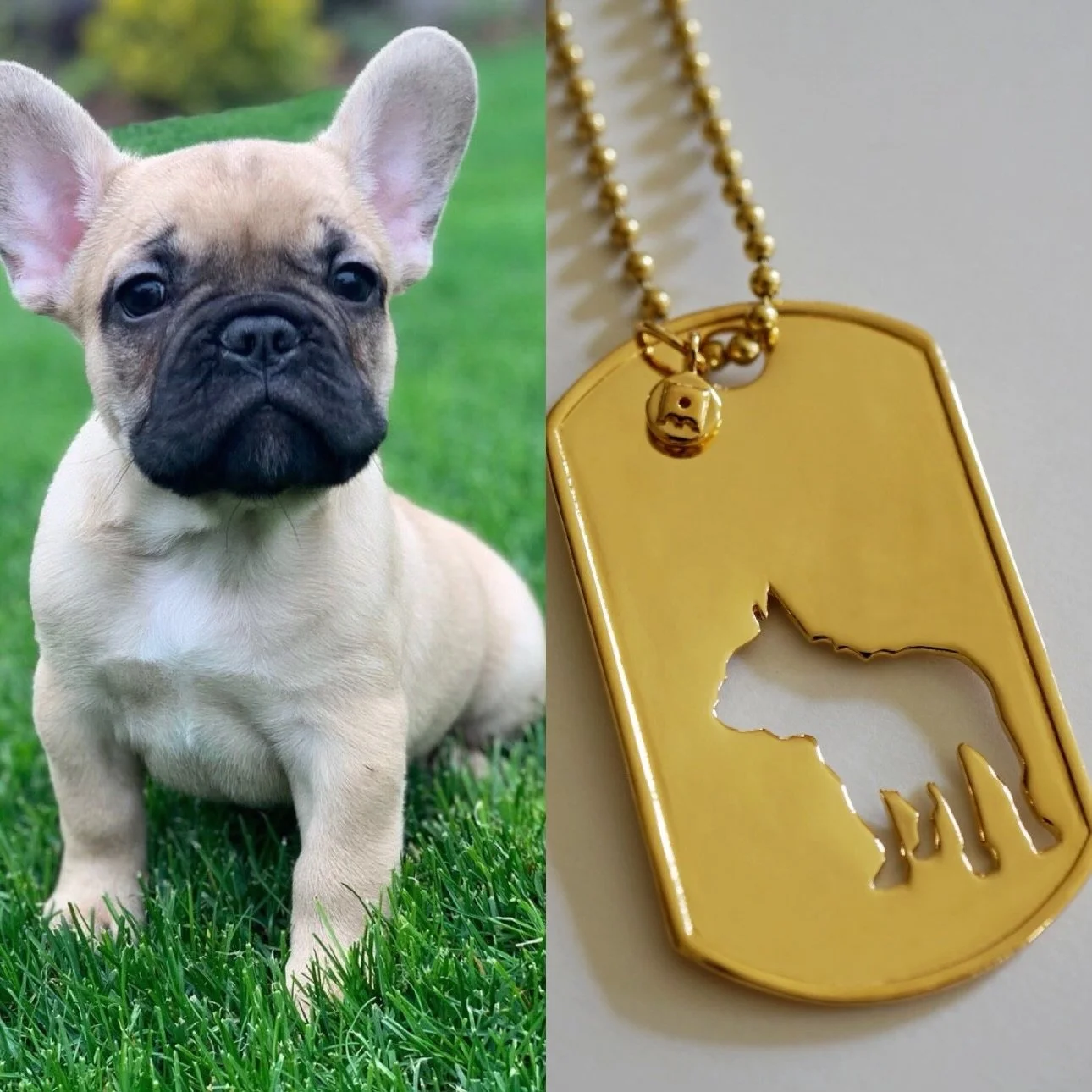 The unexpected and perfect gift for a Frenchie lover 😍
