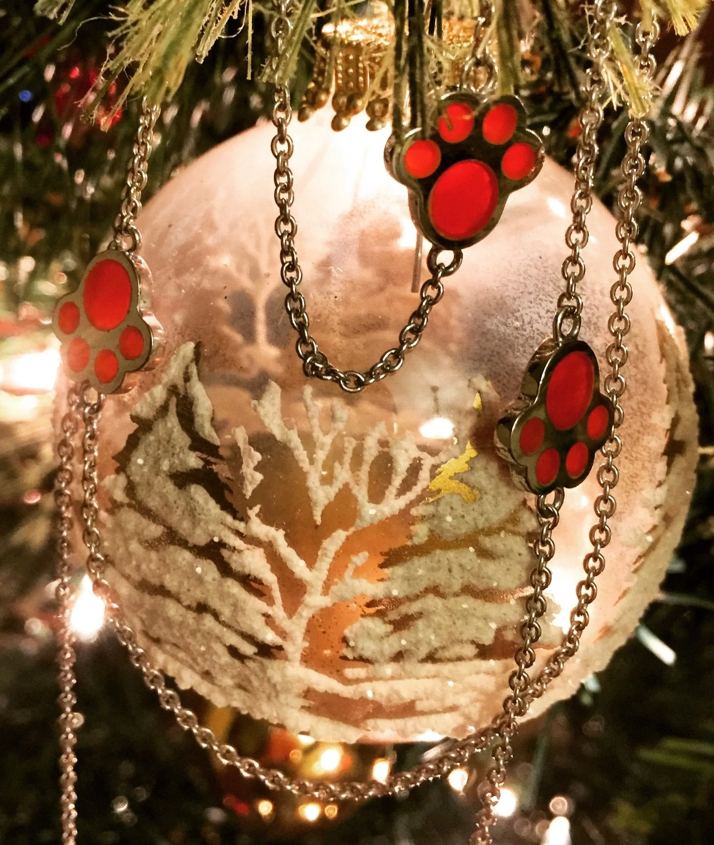 Happy Christmas Eve, everyone 🎄🐾❤️