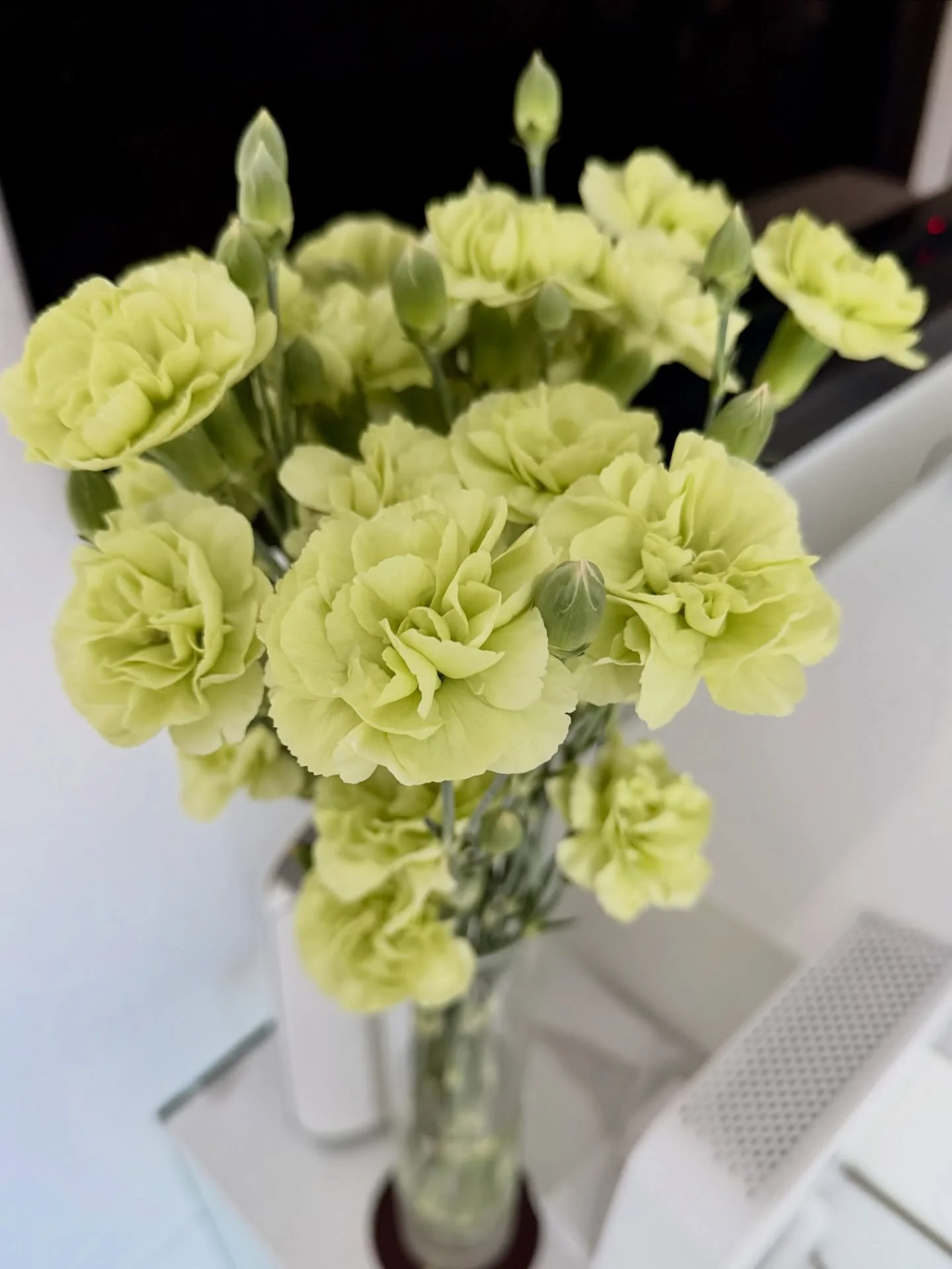 Hope everyone had a wonderful holiday season. Looking forward to a fantastic 2026! 🤩🎈