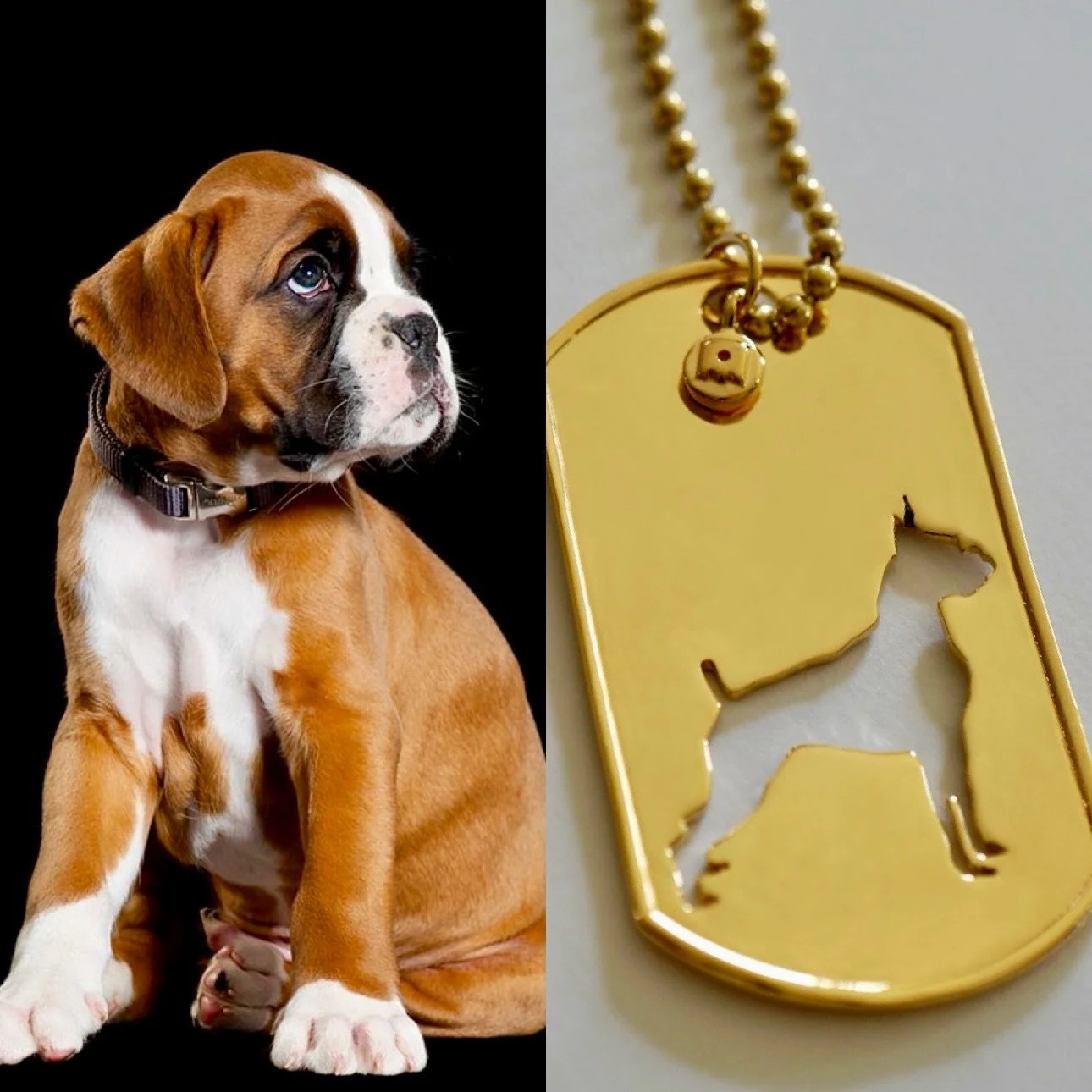 It&rsquo;s a Boxer day! 🧡🥰