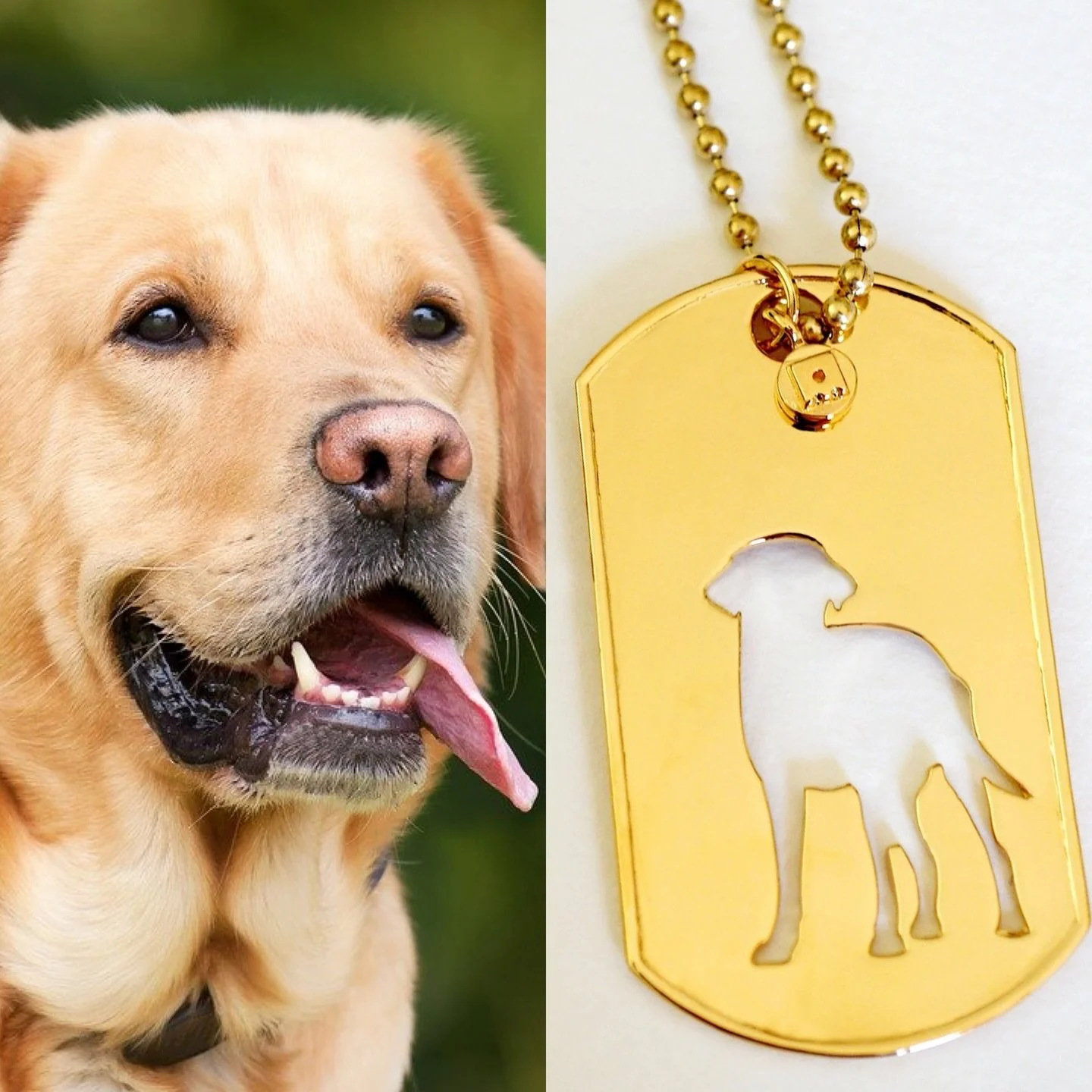 Tag your Lab loving friends and families 🤩 It&rsquo;s a Lab day! 🥰