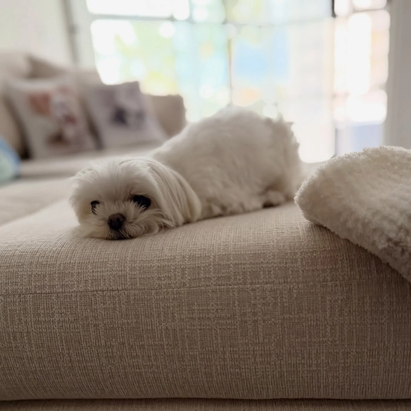 May your weekend vibe be as cozy and relaxing as Mikko&rsquo;s 🥰