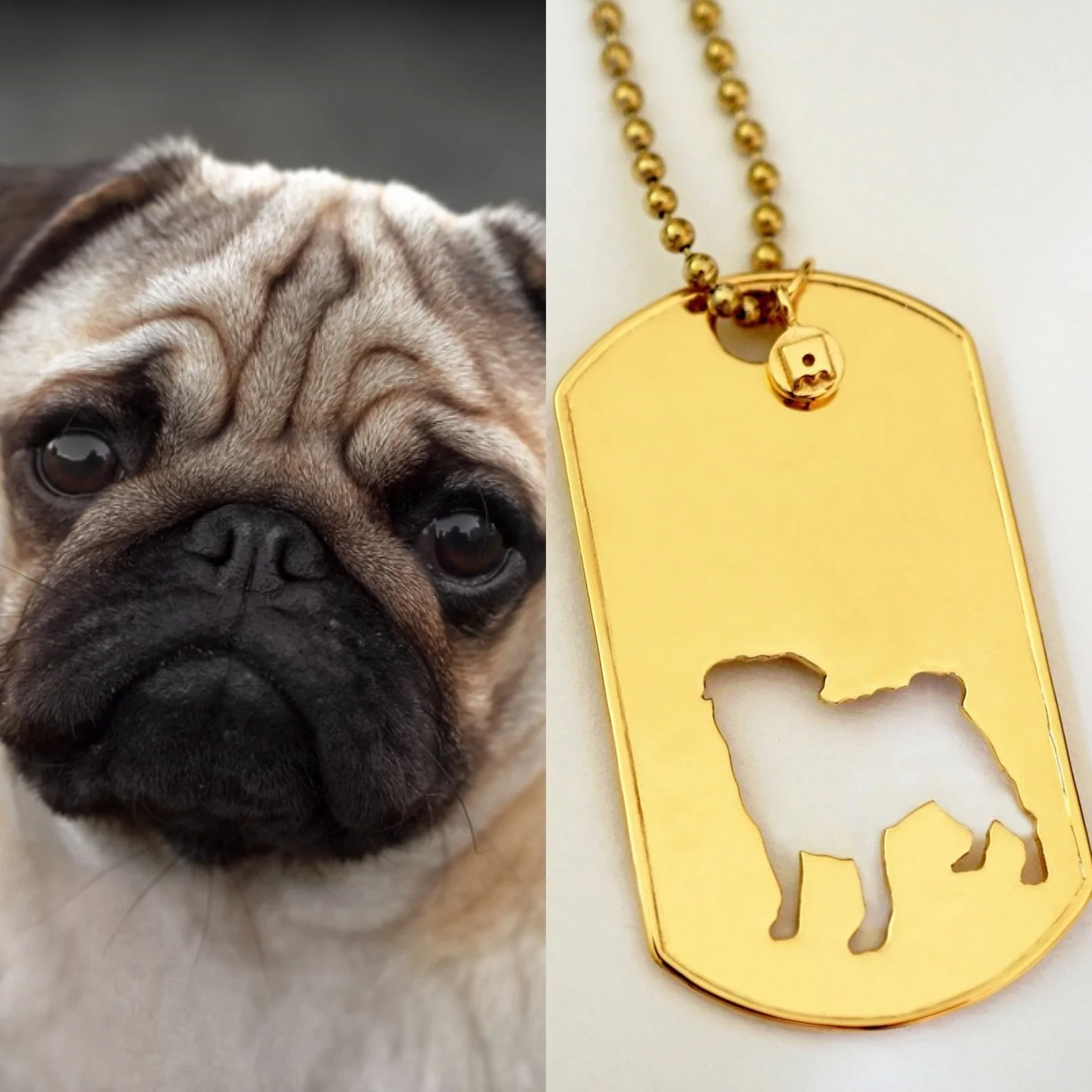 Tag your Pug loving friends and families 🥰