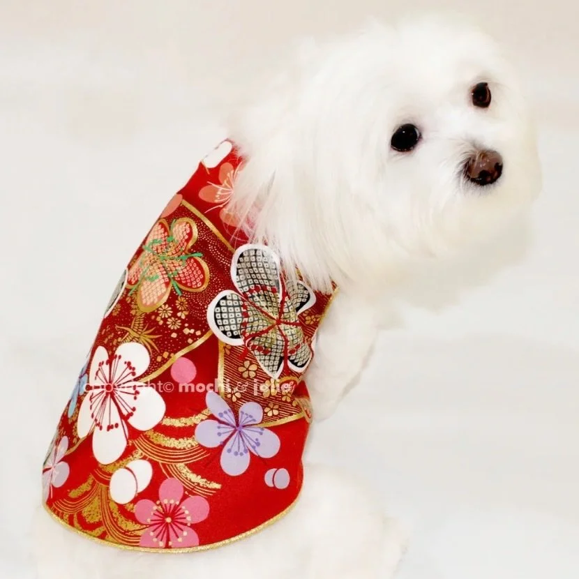 Happy Lunar New Year 🧧🎊❤️