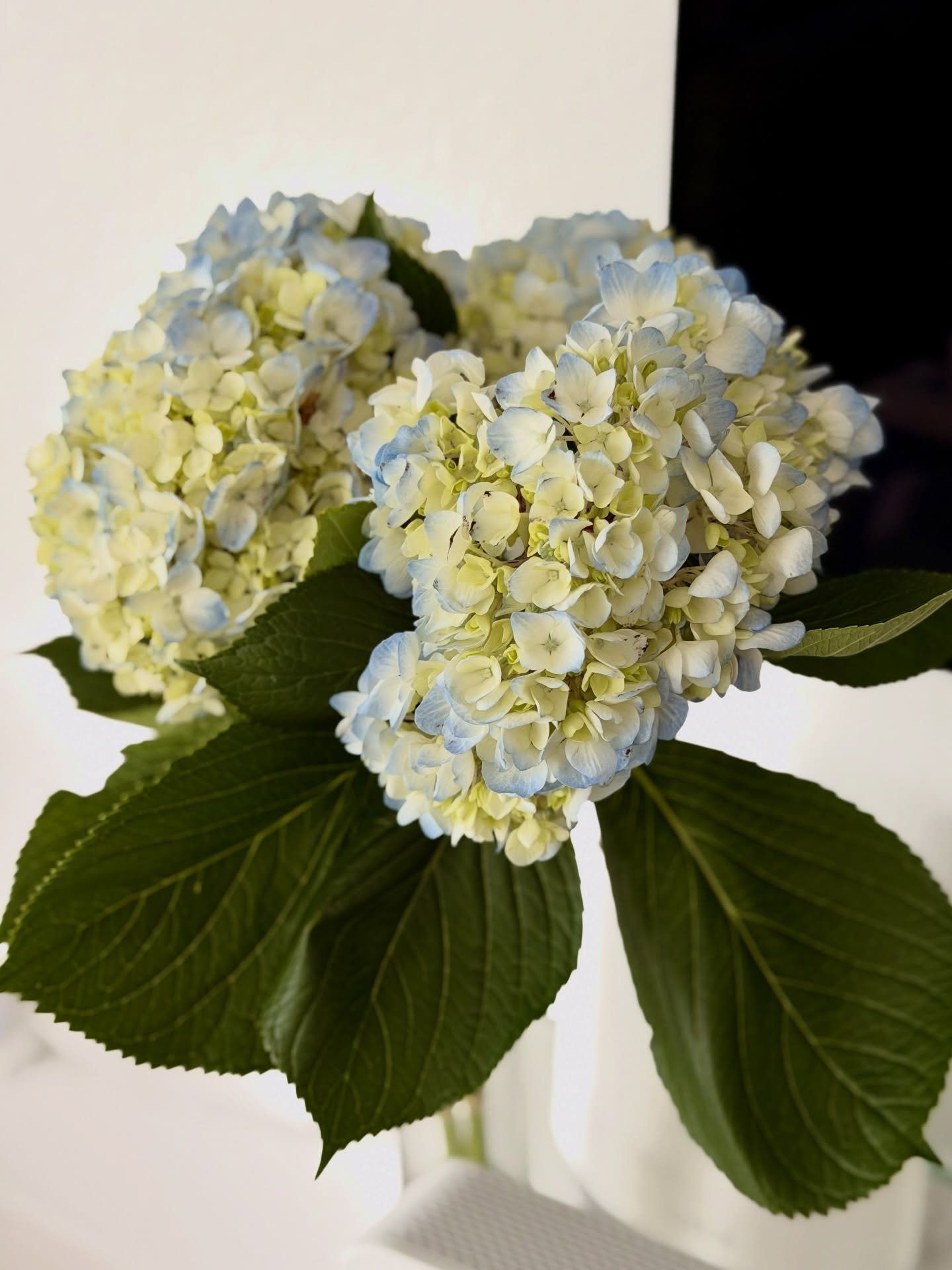 Have a great weekend, everyone! 🥰 Don&rsquo;t forget to spring forward this Sunday