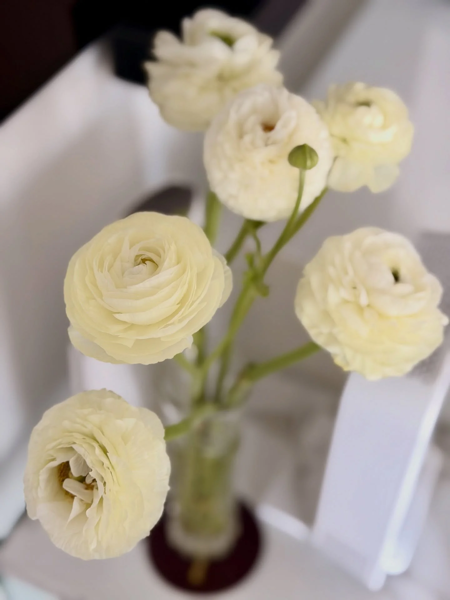 Happy first day of Spring 🌿🧡